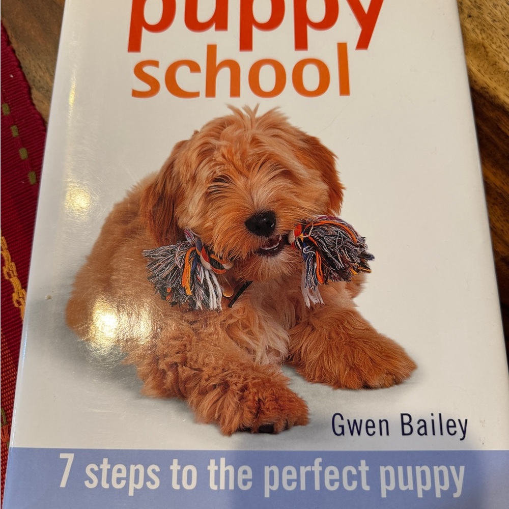 NEW Puppy Dog School BOOK Gwen Bailey TRAINING 7 steps to a perfect puppy! NEW